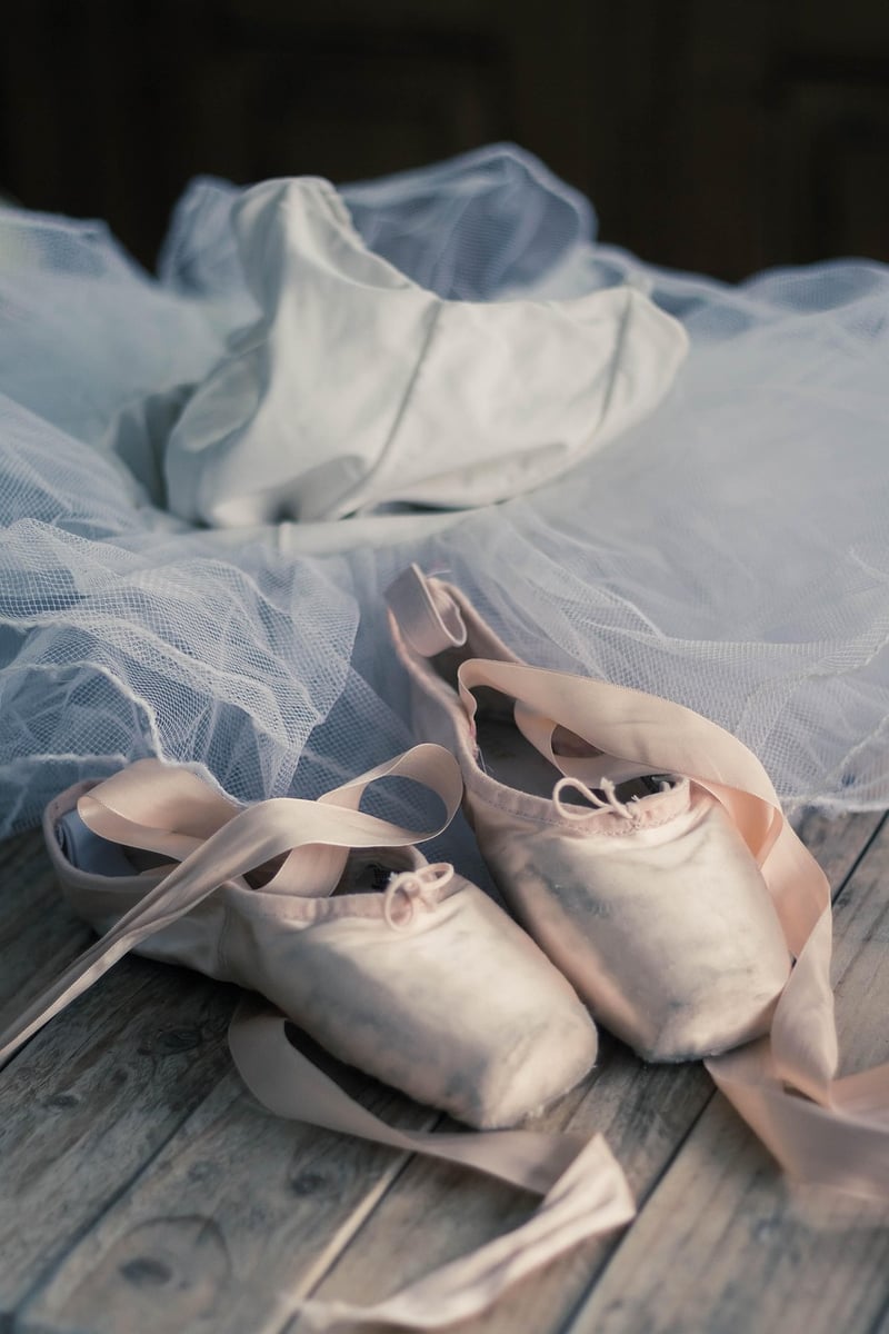 Ballet fusion exercise